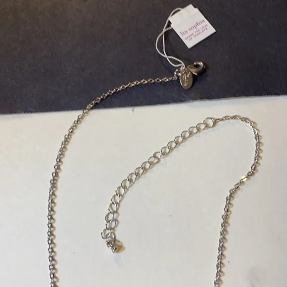 Lia Sophia Crystal Bouquet Silver Chain Green-ish Off White Crystals NWT 16”-19” - Picture 4 of 5